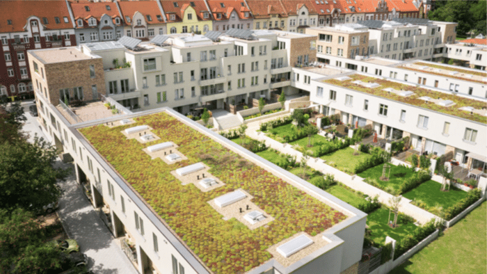 Green Roofing 2