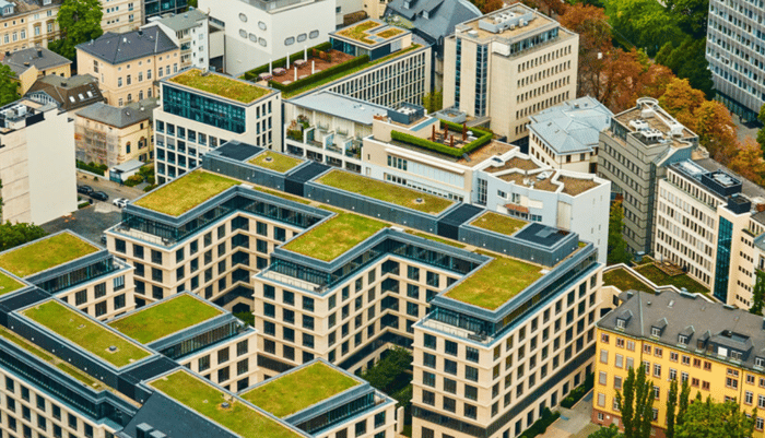 Green roof 4